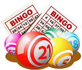 bingobingo